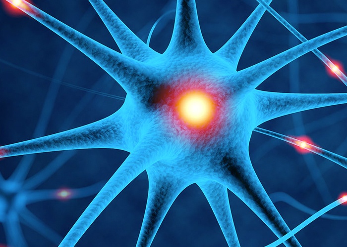 Best Neurology Hospitals in Udaipur