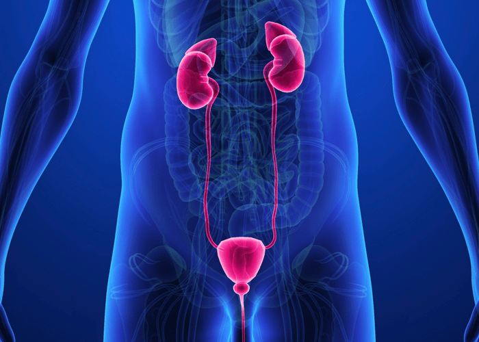 Urology specialist in udaipur