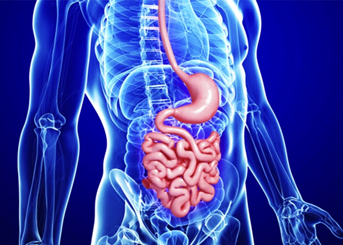 Top Gastroenterologists Doctors In Udaipur