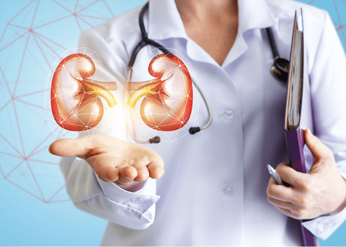 Nephrology Kidney Treatment Udaipur