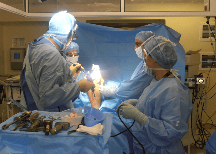 Orthopedic Hospital in Udaipur