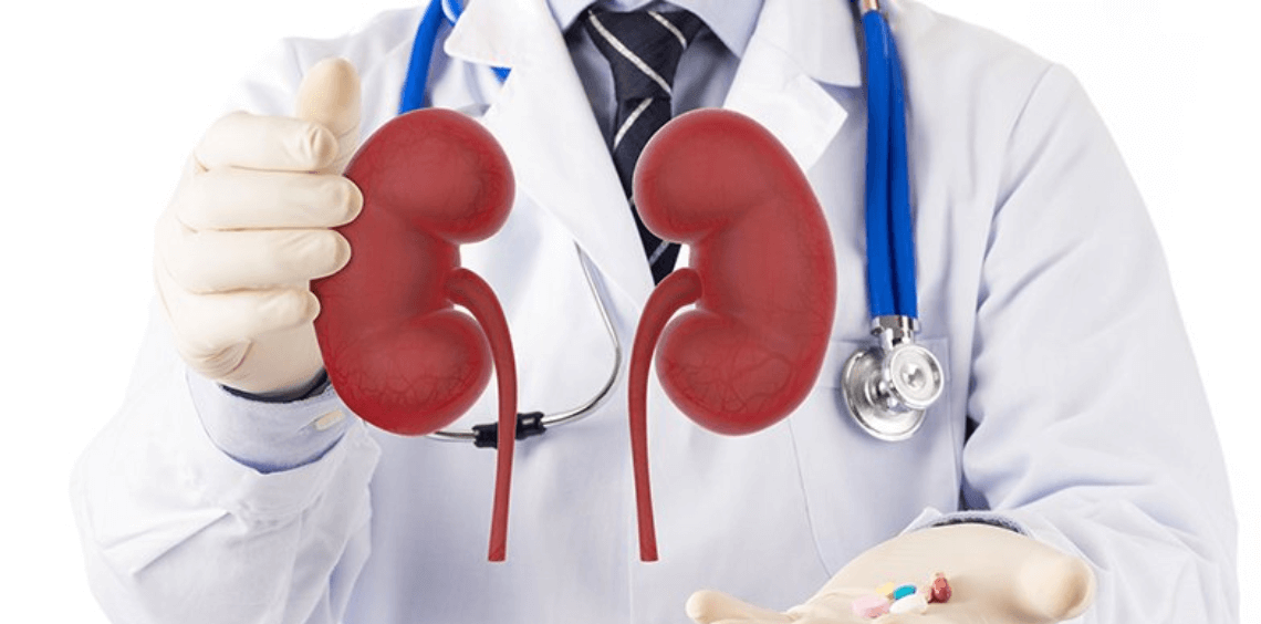 Nephrology Kidney Treatment Udaipur | Best Nephrologist Udaipur