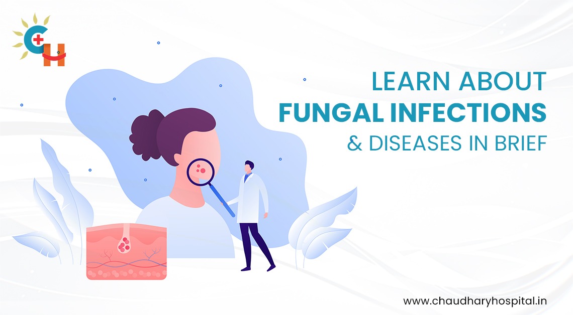 Learn about Fungal Infections and Diseases in Brief