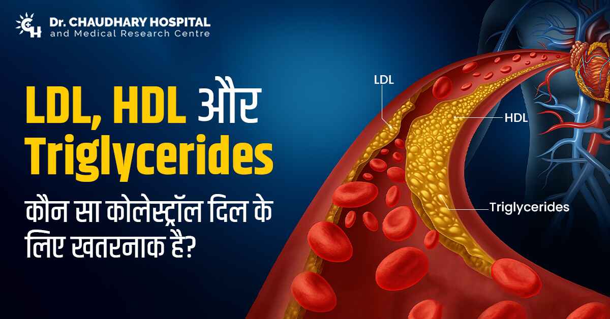 LDL HDL and triglycerides